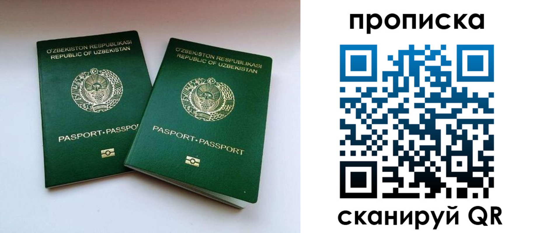 прописка поиск в Красном Куте